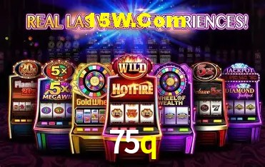 Experiência VIP 75q